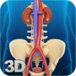 urinary system android application logo